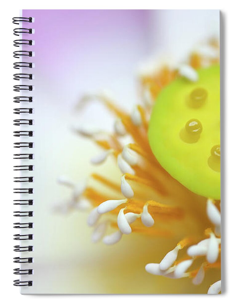 Number 7 Spiral Notebook featuring the photograph Abstract Macro Of Lotus Flower by Carefullychosen