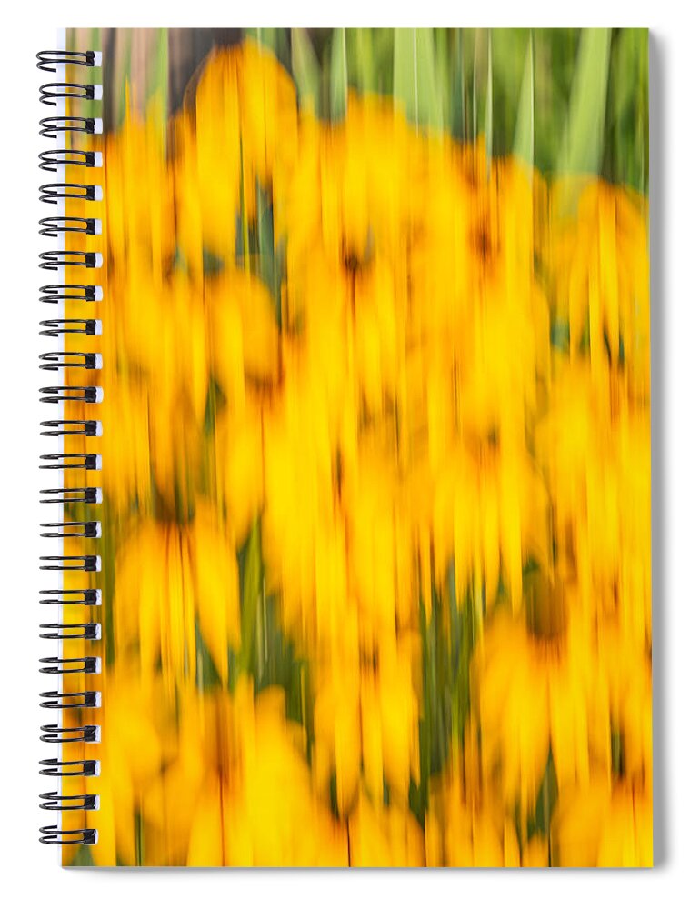 Sunflowers Spiral Notebook featuring the photograph Abstract Rudbeckia 2018-1 by Thomas Young