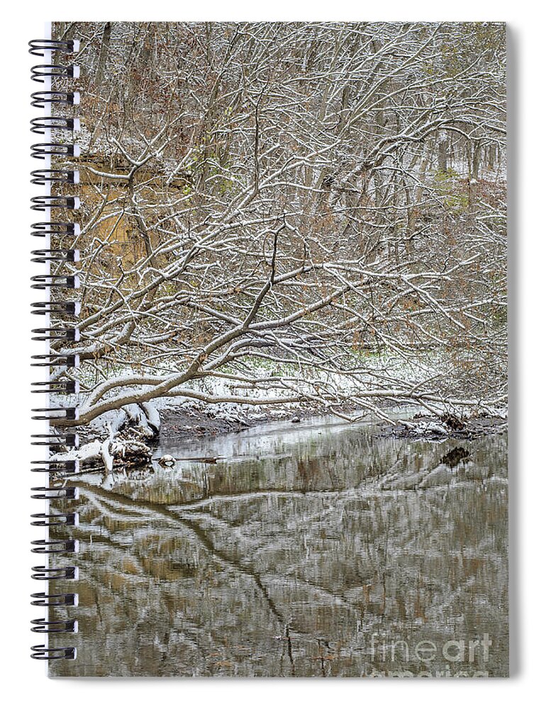 Trees Spiral Notebook featuring the photograph Abstract Snow Covered Trees by Tamara Becker