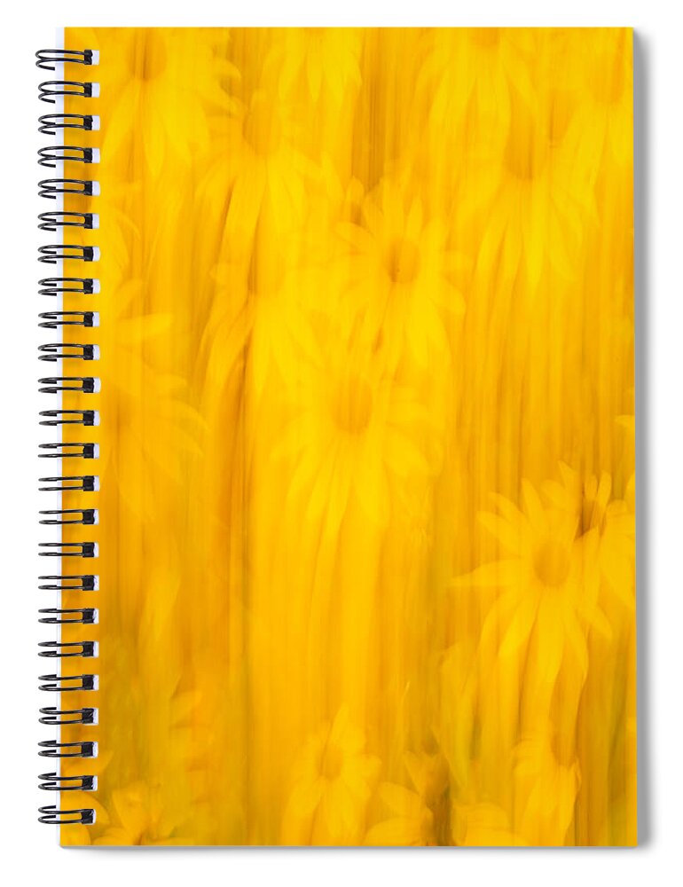 Sunflowers Spiral Notebook featuring the photograph Abstract Sunflowers 2018-3 by Thomas Young