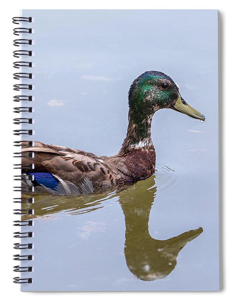 Photography Spiral Notebook featuring the photograph Adolescent Acne by Alma Danison