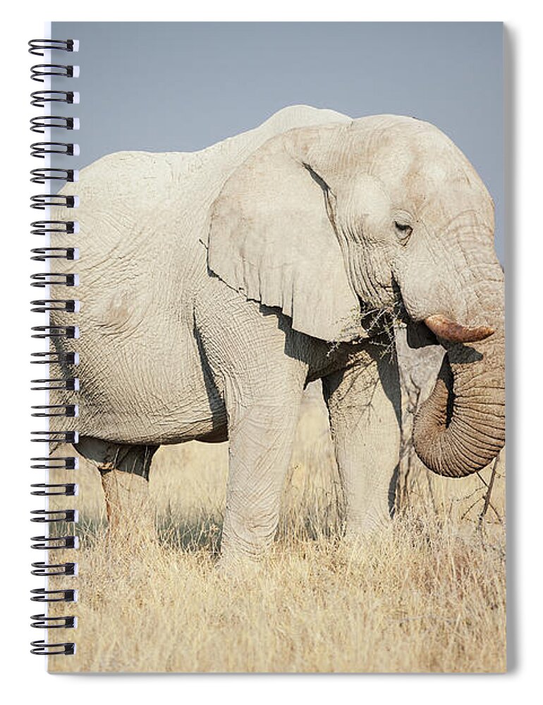 Dust Spiral Notebook featuring the photograph African Elphant Eating by Bjarte Rettedal