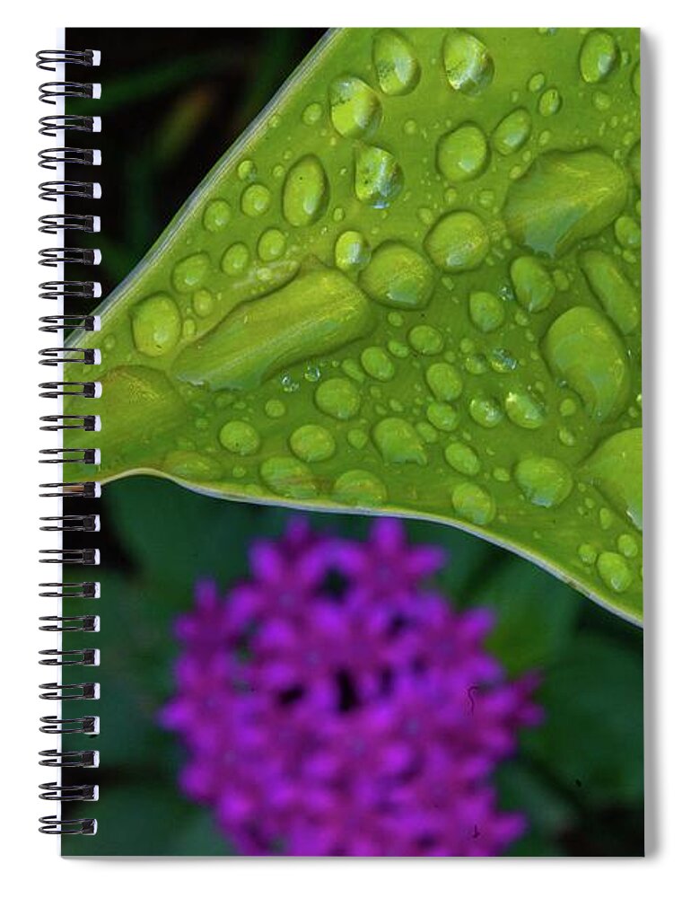 Kauai Spiral Notebook featuring the photograph After Morning Rains by Doug Davidson