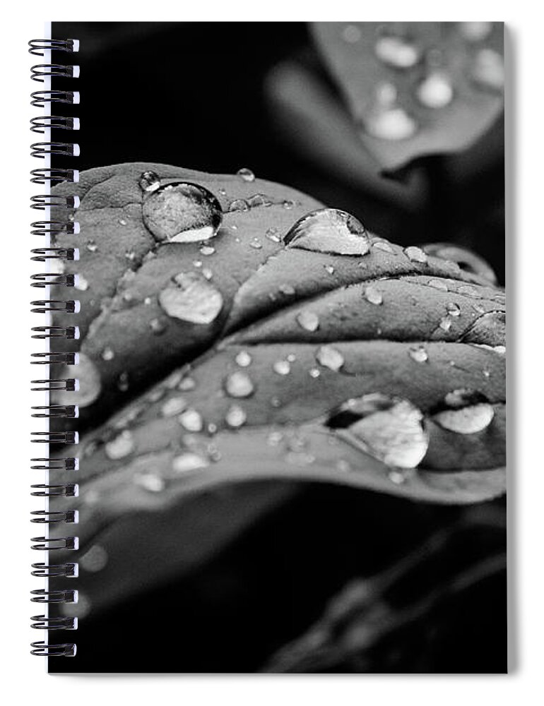 After The Rain Spiral Notebook featuring the photograph After the Rain by Melissa Lipton