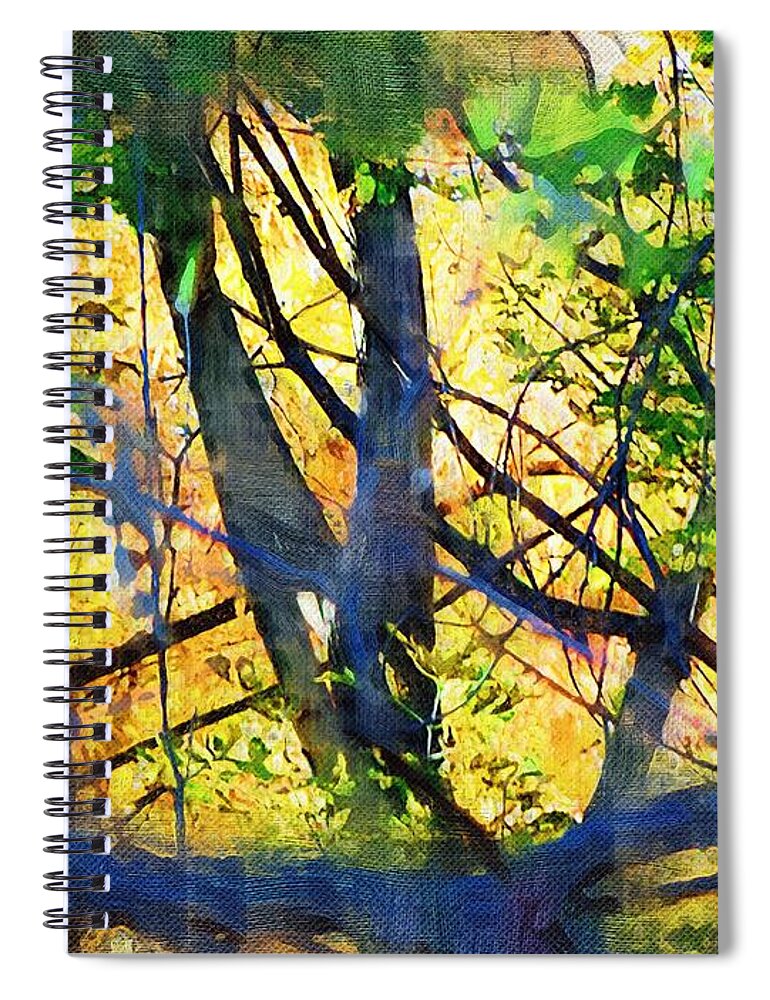 Trees Spiral Notebook featuring the mixed media Afternoon in the Woods by Christopher Reed