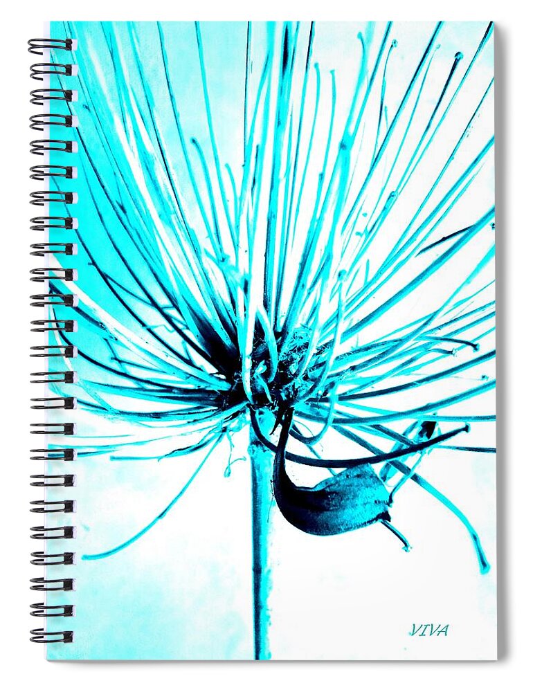 Agapanthus Spiral Notebook featuring the photograph Agapanthus Turquoise by VIVA Anderson