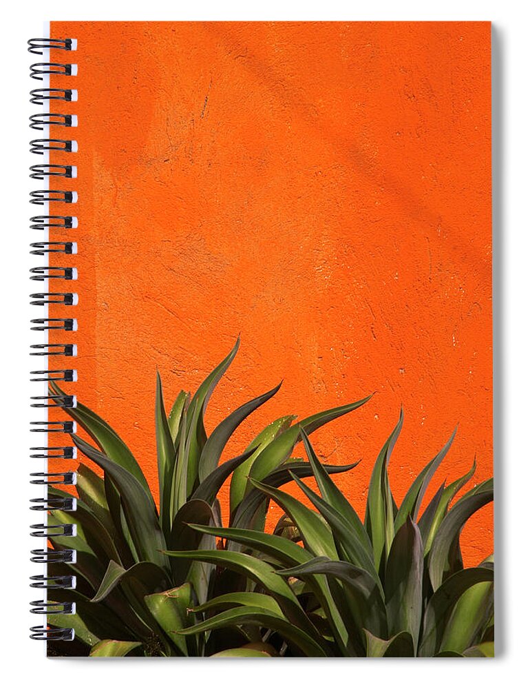 Agave Spiral Notebook featuring the photograph Agave Cactus, Vivid Orange Stucco Wall by 1photodiva