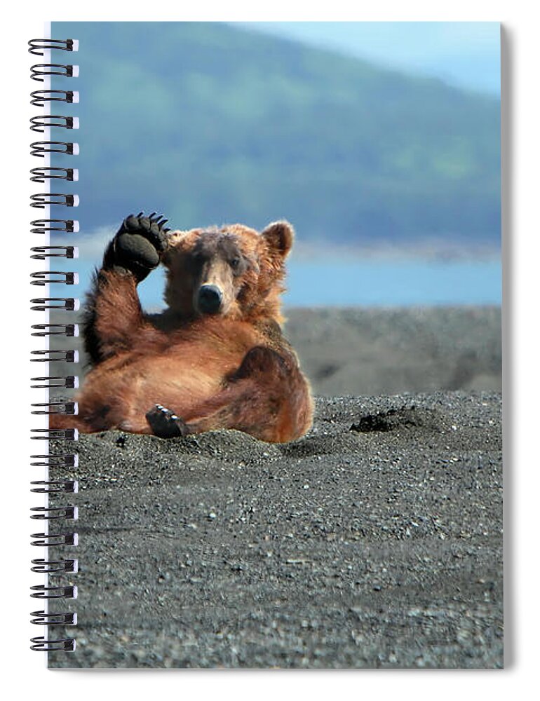 Katmai Peninsula Spiral Notebook featuring the photograph Alaskan Coastal Brown Bear Waving by Alan Vernon