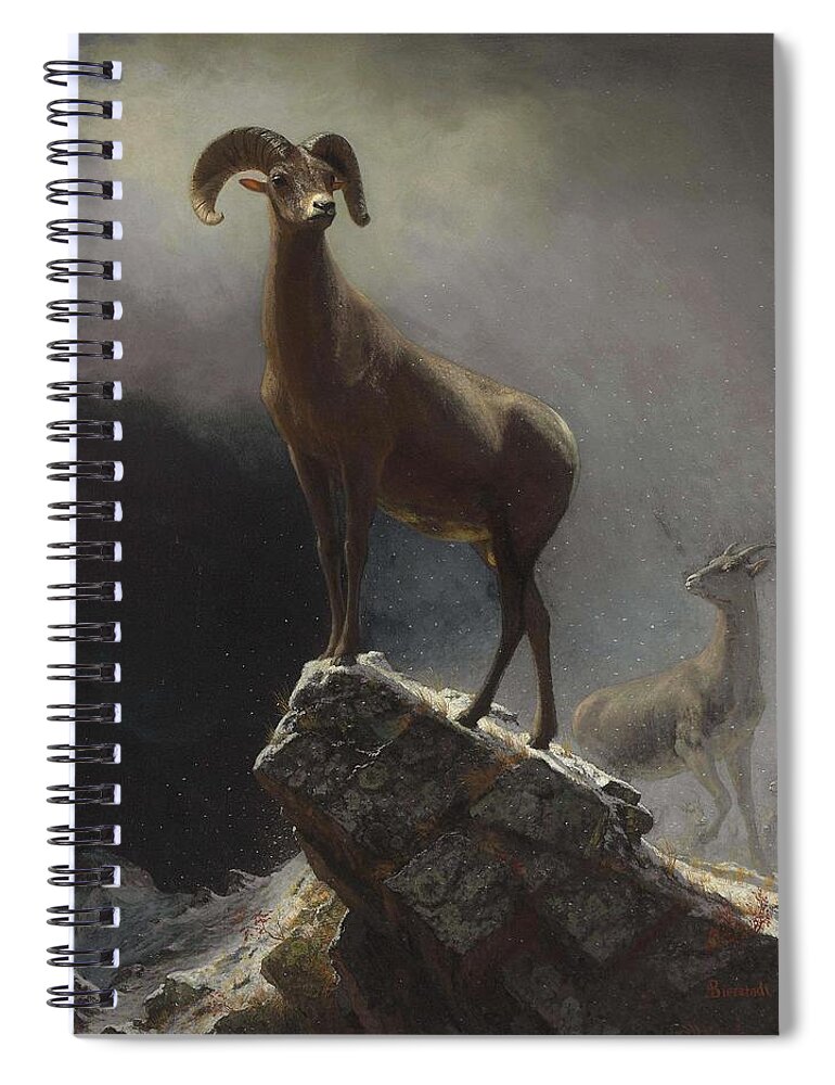 Sheep Spiral Notebook featuring the painting Albert_Bierstadt_-_Rocky_Mountain_Sheep_or_Big_Horn,_Ovis,_Montana by Albert Bierstadt