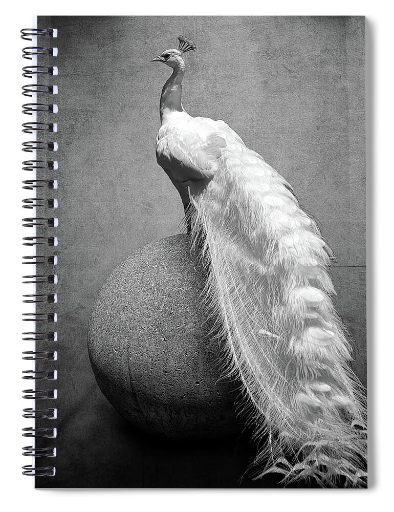 Animal Themes Spiral Notebook featuring the photograph Albino Peacock by L. Shaefer