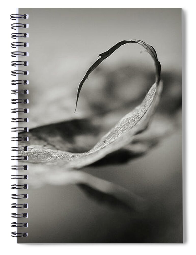 Black And White Spiral Notebook featuring the photograph All In by Michelle Wermuth