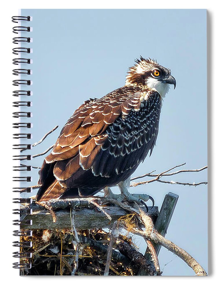 Bird Spiral Notebook featuring the photograph Almost Ready by Lois Bryan