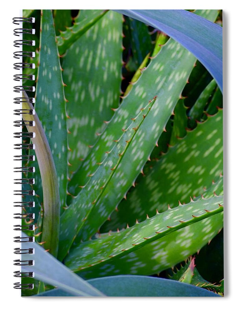 Hawaii Spiral Notebook featuring the photograph Aloe Ha by Debra Grace Addison