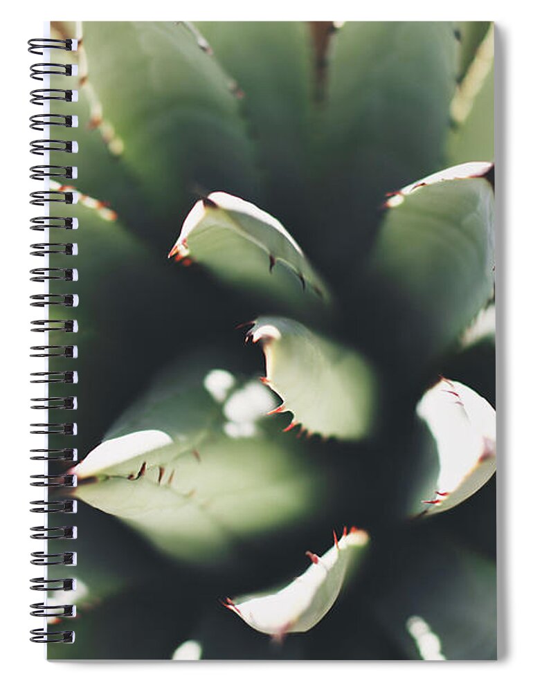 Sharp Spiral Notebook featuring the photograph Aloe Vera At The Desert Botanical Garden by Barry Duncan