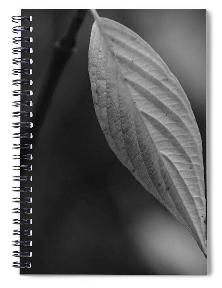 Nature Spiral Notebook featuring the photograph Alone in Gray by Jessica Myscofski