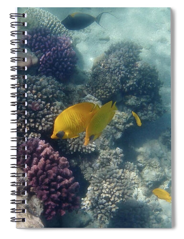 Underwater Spiral Notebook featuring the photograph Amazing Beautiful And Fantastic Red Sea by Johanna Hurmerinta