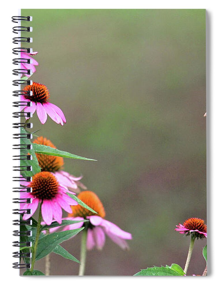 Nature Spiral Notebook featuring the photograph American Goldfinch on the Coneflowers by Trina Ansel