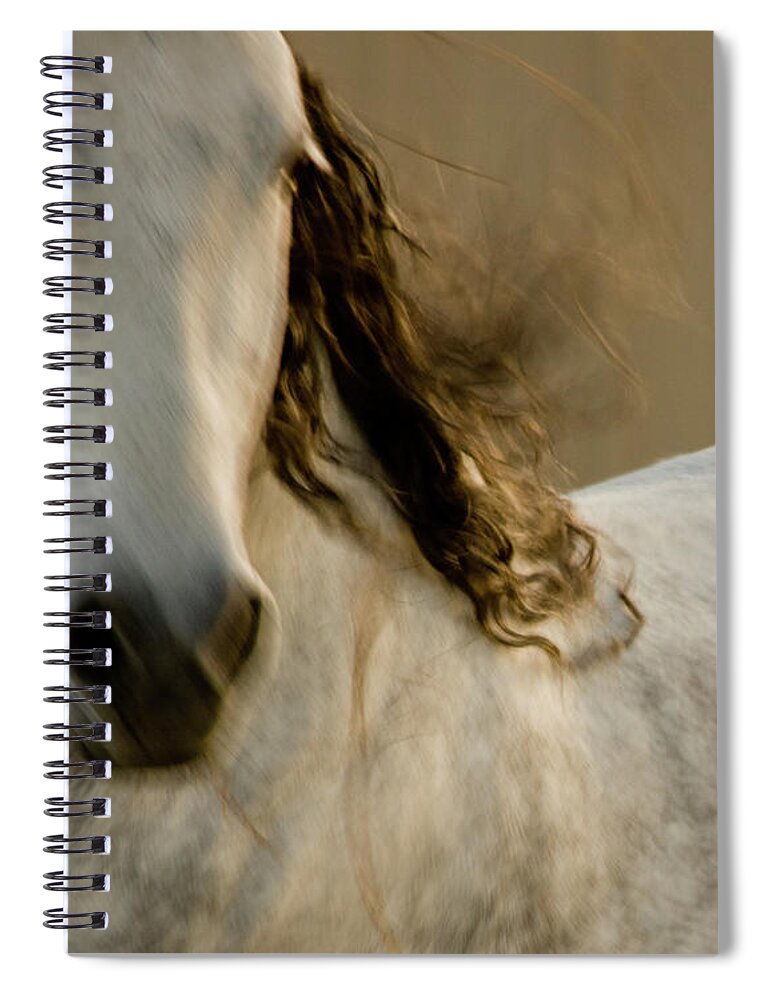 Andalusia Spiral Notebook featuring the photograph Americano 1 by Catherine Sobredo