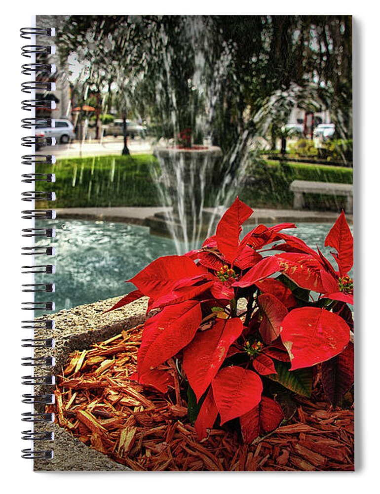 Poinsettia Spiral Notebook featuring the photograph Ancient City Poinsettia Fountain by Joseph Desiderio