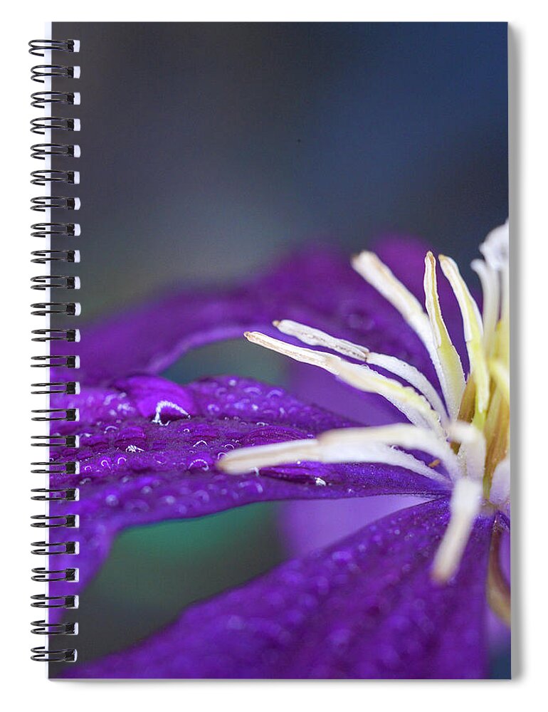 Purple Spiral Notebook featuring the photograph Ancient Joy by Michelle Wermuth