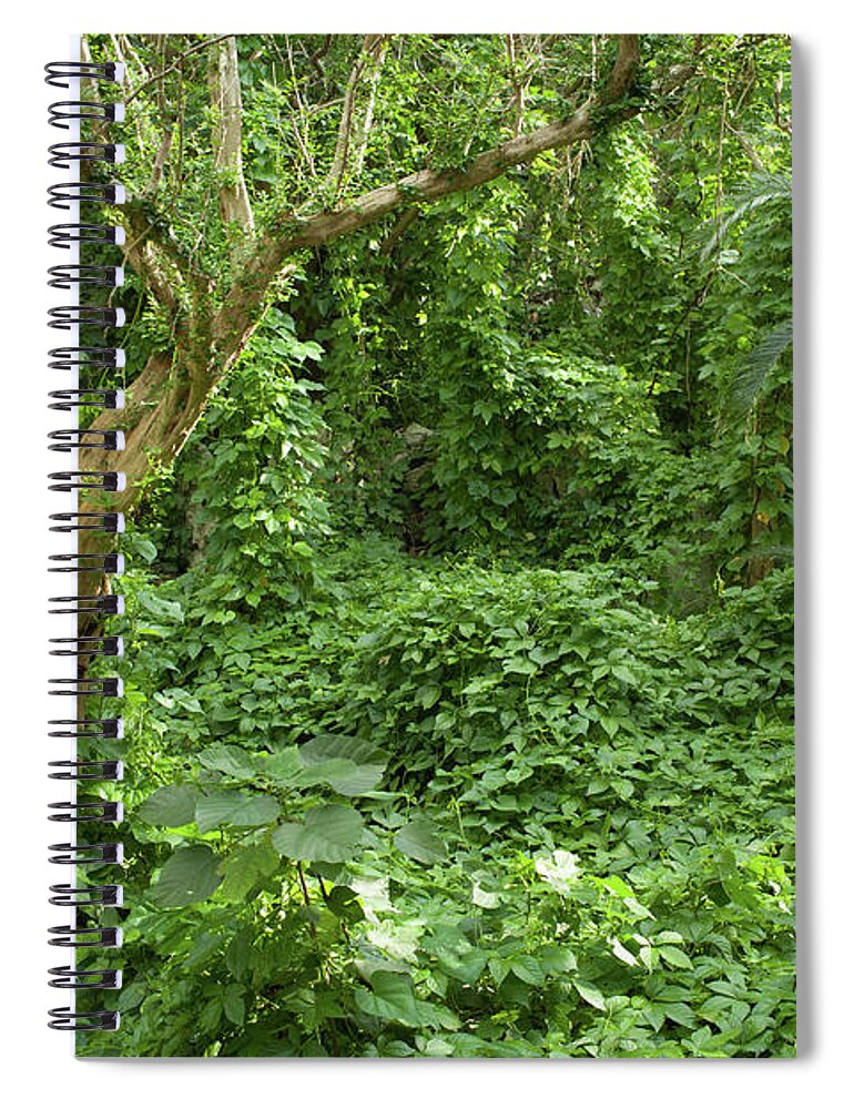 Tranquility Spiral Notebook featuring the photograph Ancient Ruins Covered By Tropical by Ippei Naoi