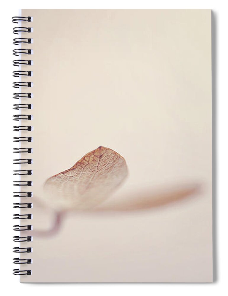Blush Pink Spiral Notebook featuring the photograph And Also by Michelle Wermuth