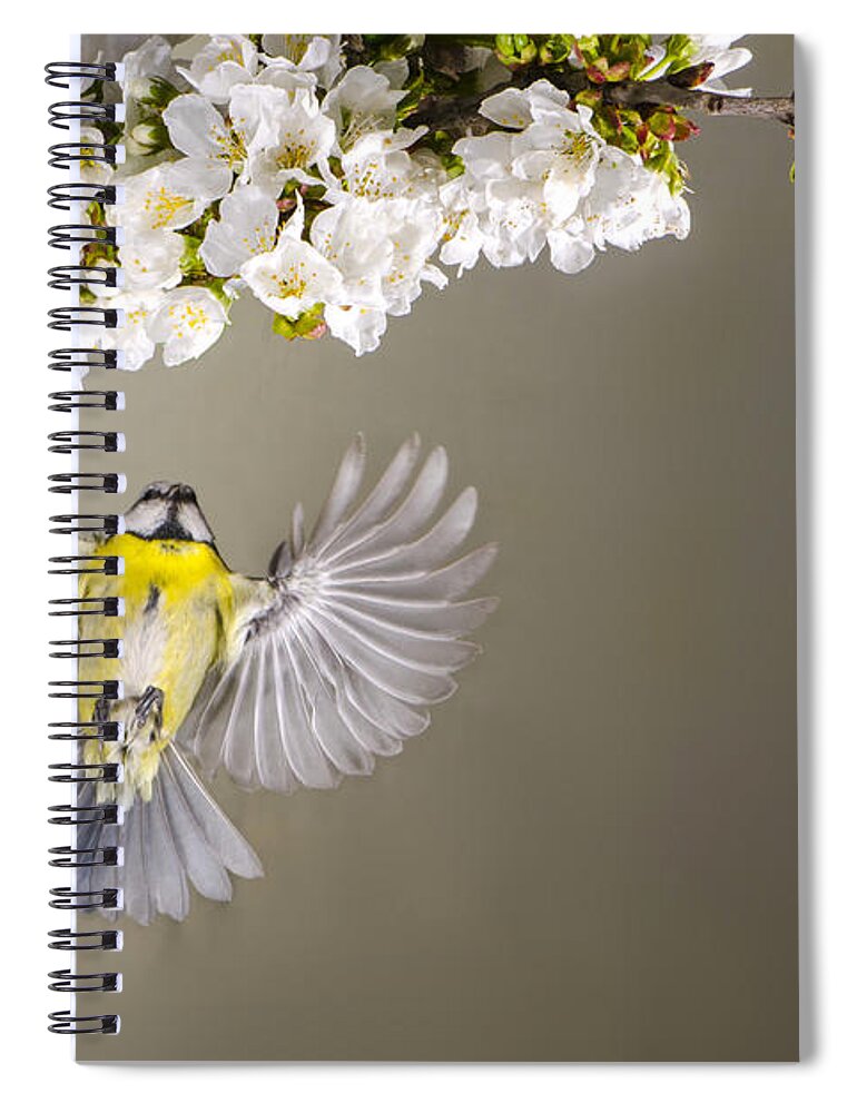 Animal Themes Spiral Notebook featuring the photograph Angel by Mike Meysner Photography