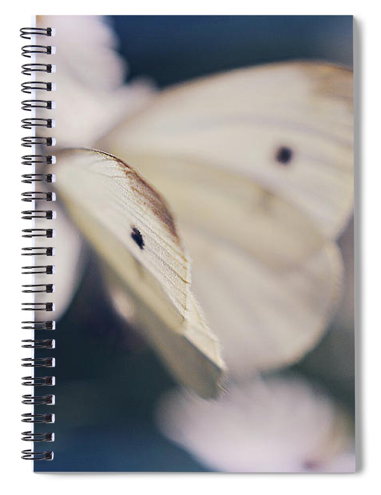 Blue Spiral Notebook featuring the photograph Angelic by Michelle Wermuth