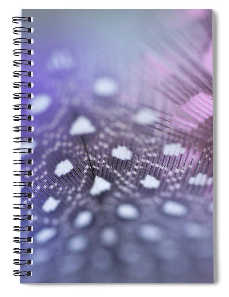 Jenny Rainbow Fine Art Photography Spiral Notebook featuring the photograph Angels Flight Series. Union by Jenny Rainbow
