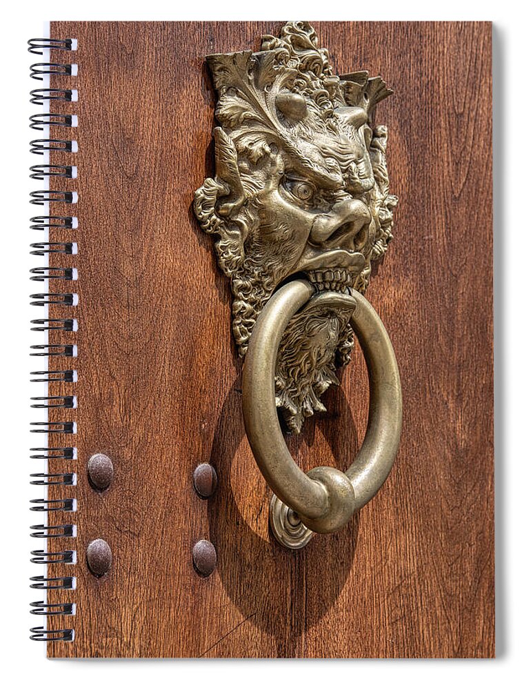 Devil Spiral Notebook featuring the photograph Angry Devil of Venice by David Letts