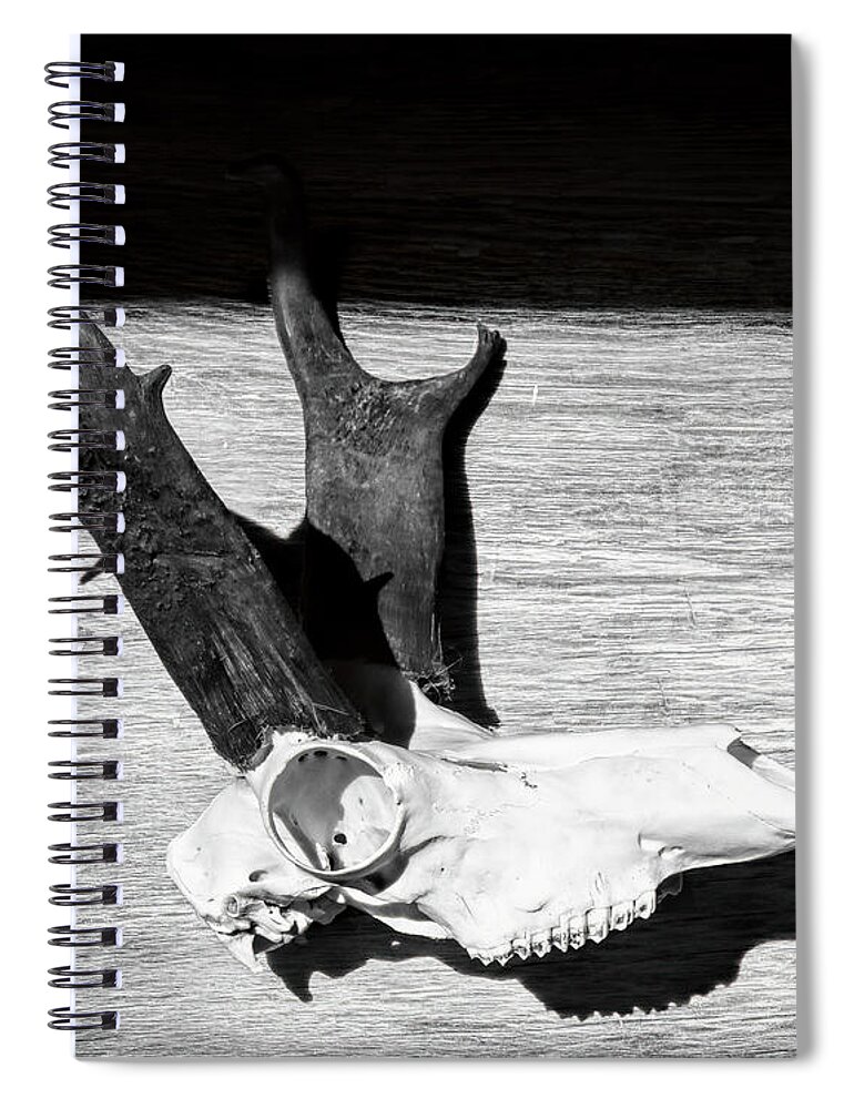 Kansas Spiral Notebook featuring the photograph Antelope 001 by Rob Graham
