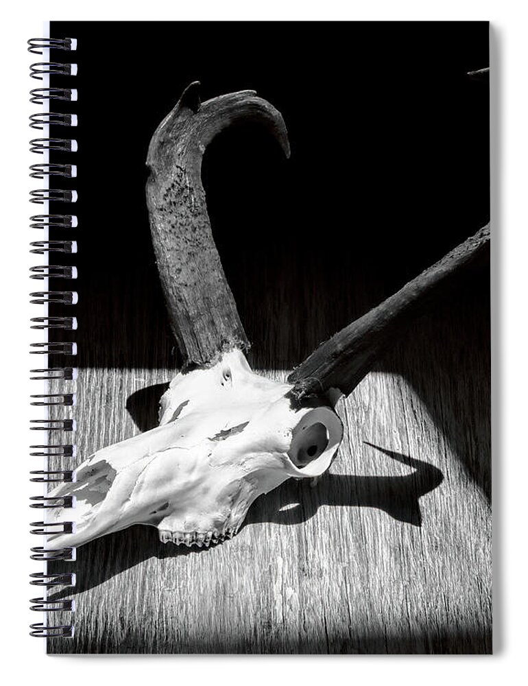 Kansas Spiral Notebook featuring the photograph Antelope 003 by Rob Graham