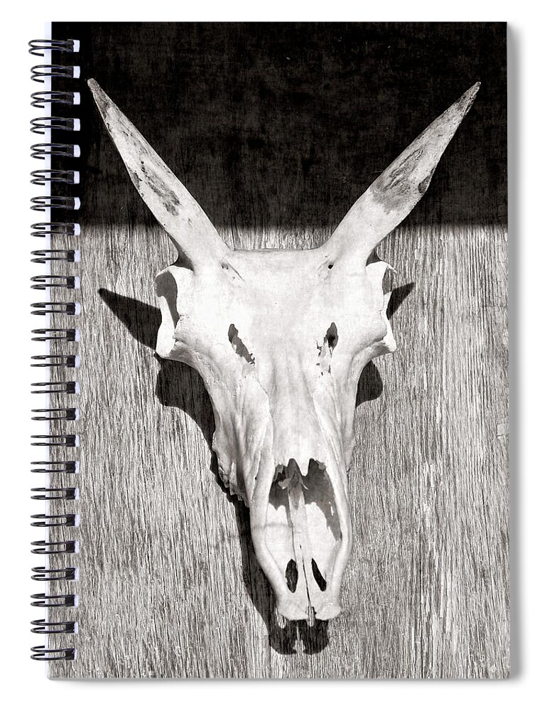 Kansas Spiral Notebook featuring the photograph Antelope 005 by Rob Graham