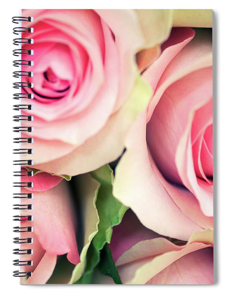 Bouquet Spiral Notebook featuring the photograph Antique Roses Full Frame Selective Focus by Peskymonkey