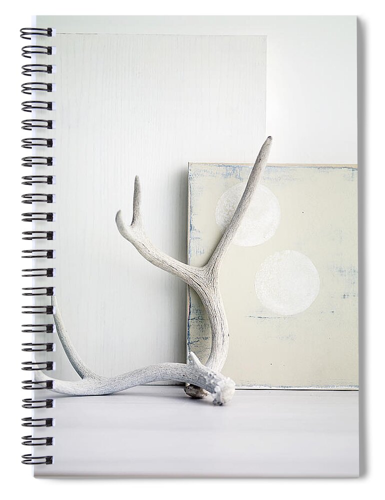 Vacations Spiral Notebook featuring the photograph Antlers Leaning Against White Paintings by Jim Franco