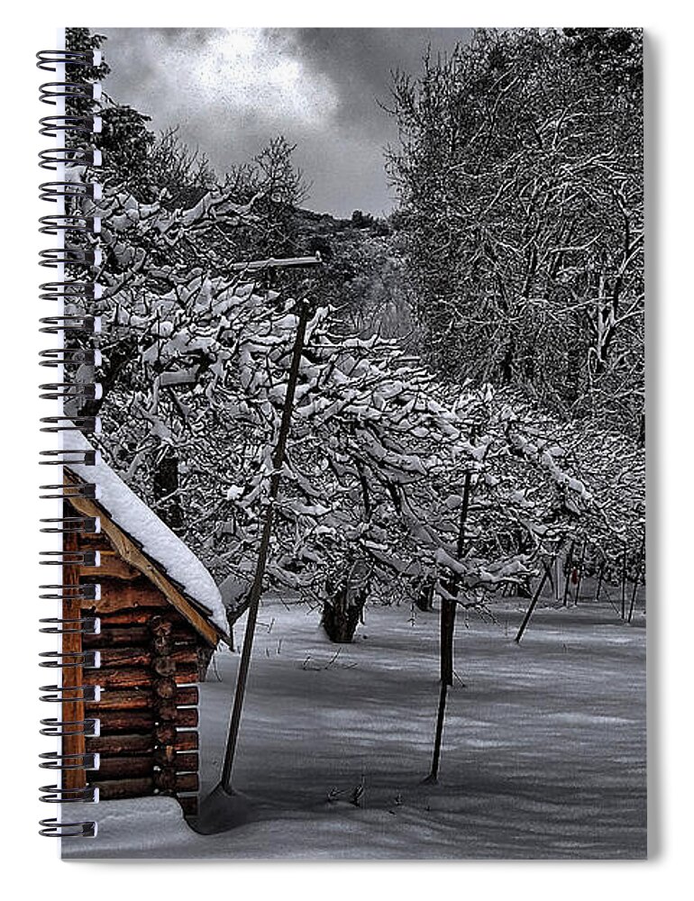 Apple Tree Spiral Notebook featuring the photograph Apple Trees in the Snow by Alex Morales
