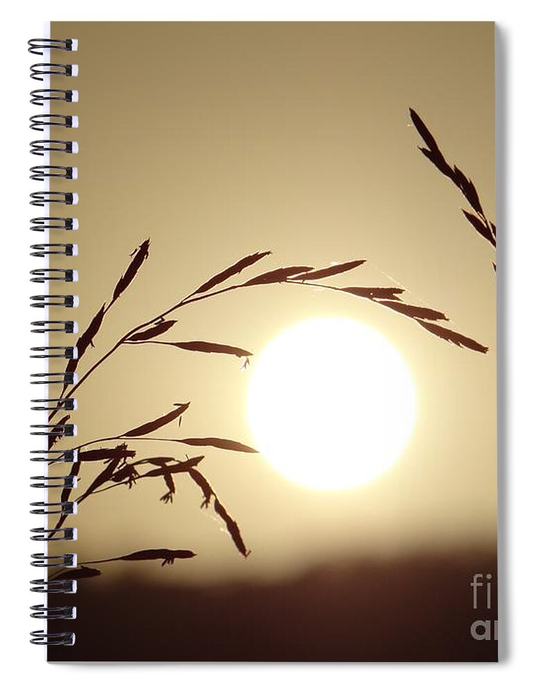 Sun Spiral Notebook featuring the photograph Appreciation by Karin Ravasio