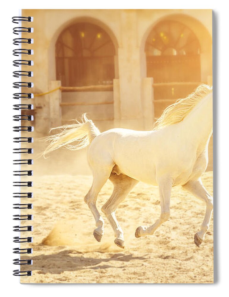 Doha Spiral Notebook featuring the photograph Arabian horse running by Benny Marty