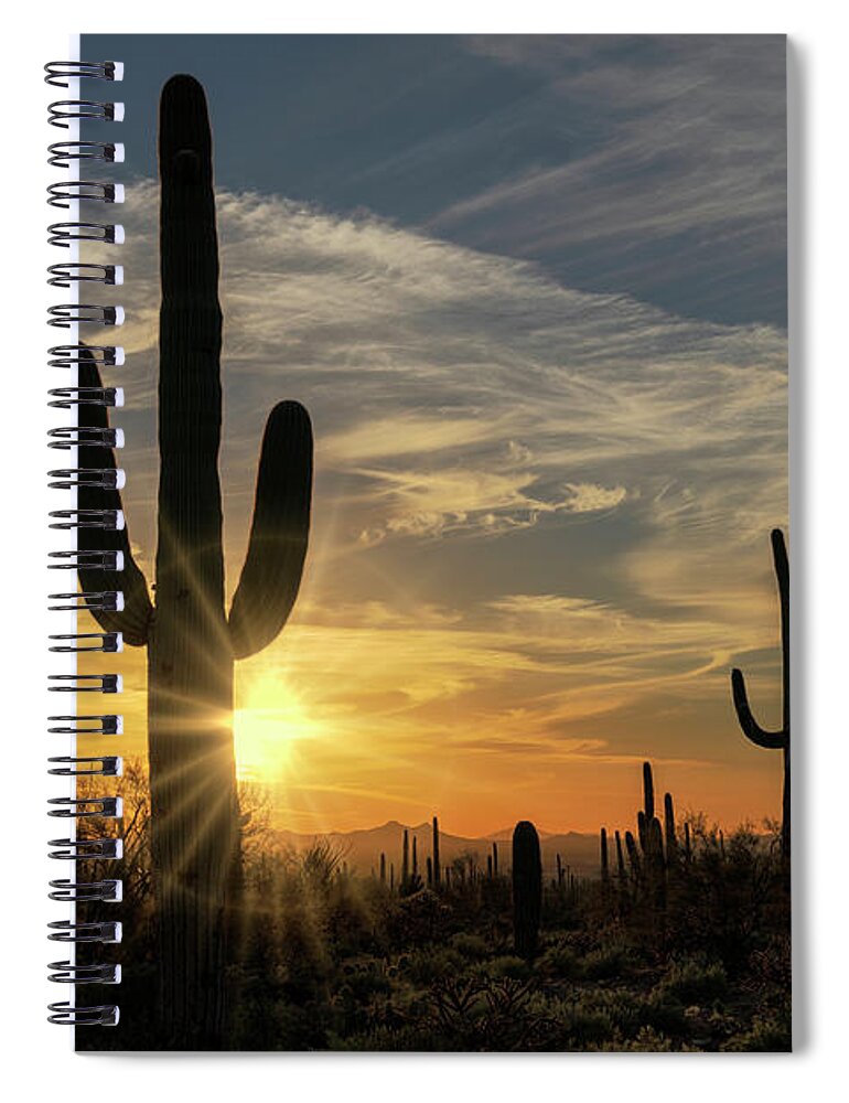 Southwest Spiral Notebook featuring the photograph Arizona Beauty by Sandra Bronstein