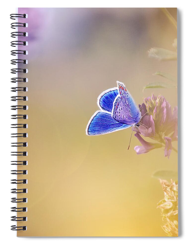 Butterfly Spiral Notebook featuring the photograph Around The Meadow 4 by Jaroslav Buna