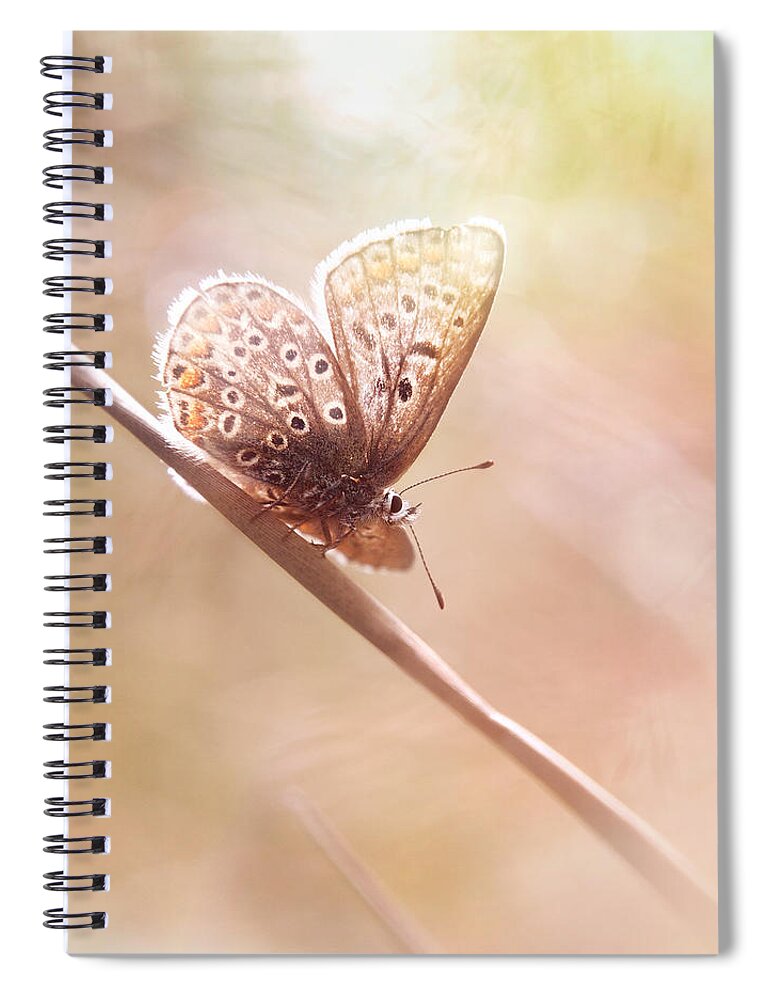 Butterfly Spiral Notebook featuring the photograph Around The Meadow 5 by Jaroslav Buna