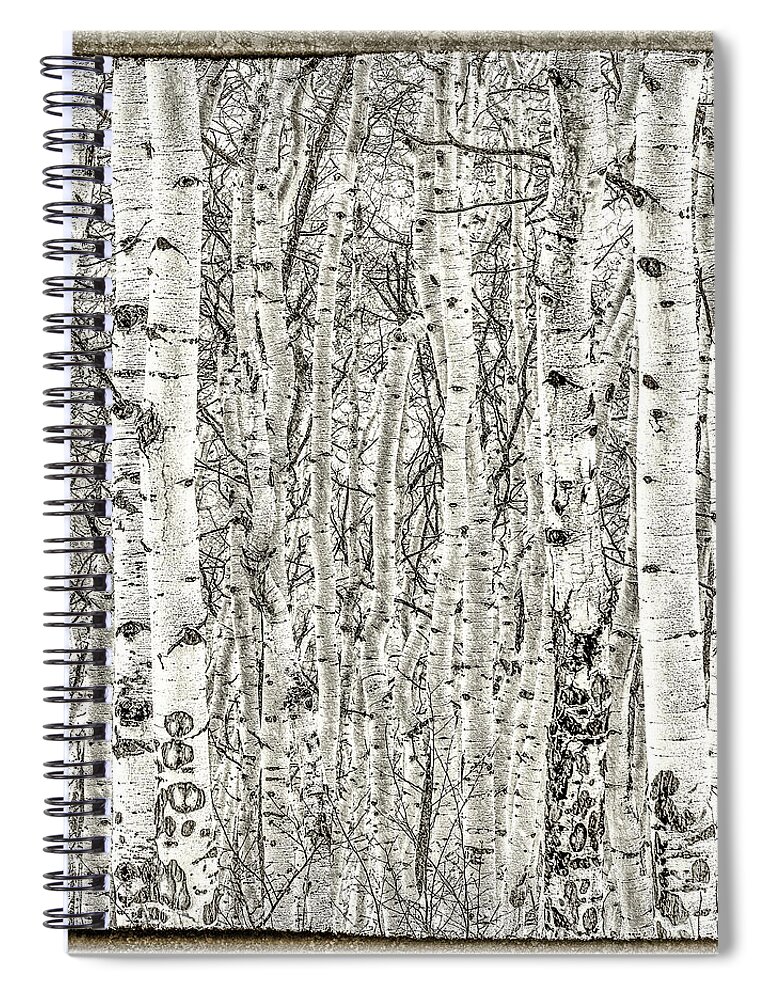 Artistic Spiral Notebook featuring the photograph Artistic Aspen by Melissa Lipton