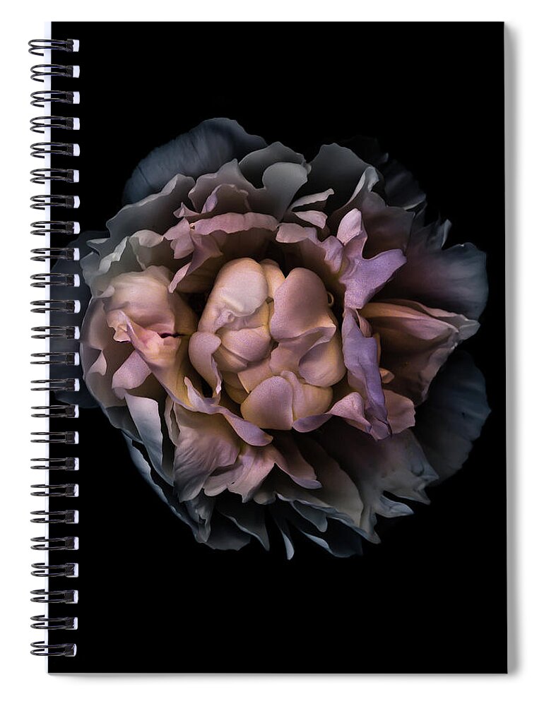 Brian Carson Spiral Notebook featuring the photograph Backyard Flowers 56 Color Version by Brian Carson