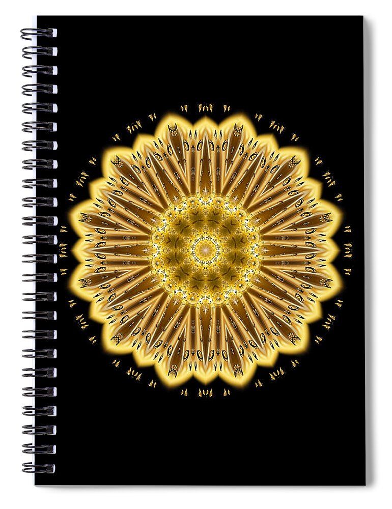 Black Spiral Notebook featuring the digital art We Are Golden by Rachel Hannah