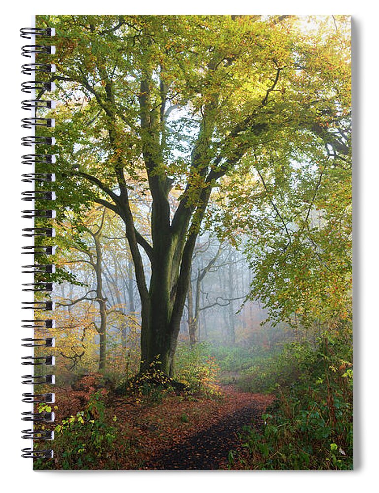 Adam West Spiral Notebook featuring the photograph As The Fog Clears by Adam West