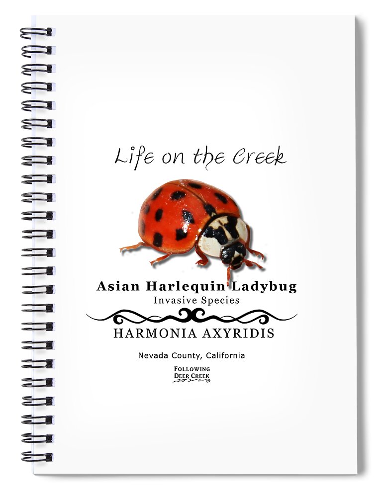 Ladybug Spiral Notebook featuring the digital art Asian Harlequin Ladybug by Lisa Redfern