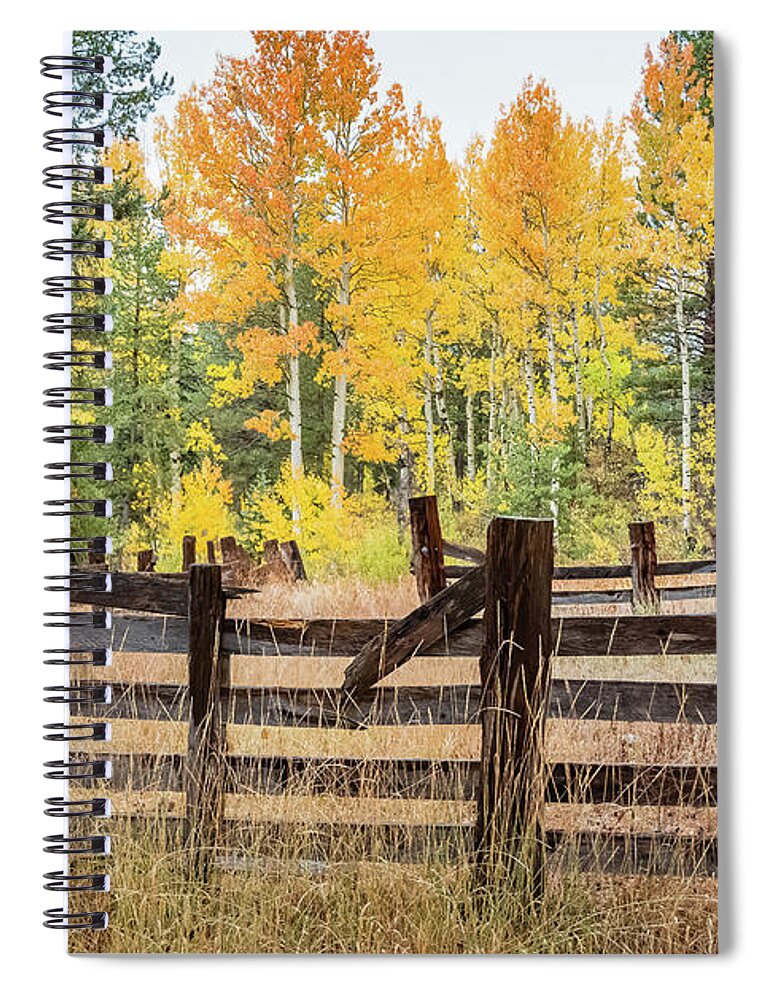 Aspen Spiral Notebook featuring the photograph Aspen Corral by Mike Ronnebeck