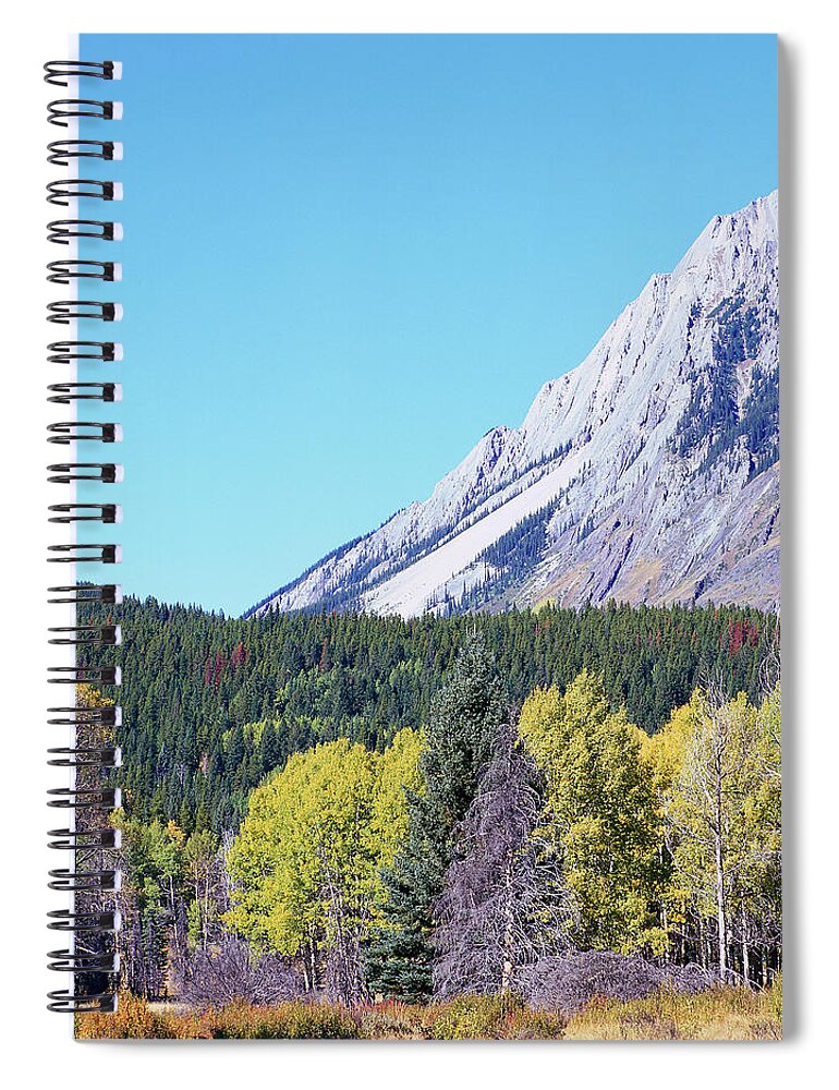 Scenics Spiral Notebook featuring the photograph Aspen, Fir, Peak At Canadian Rockies by Image © Glen Pennykid