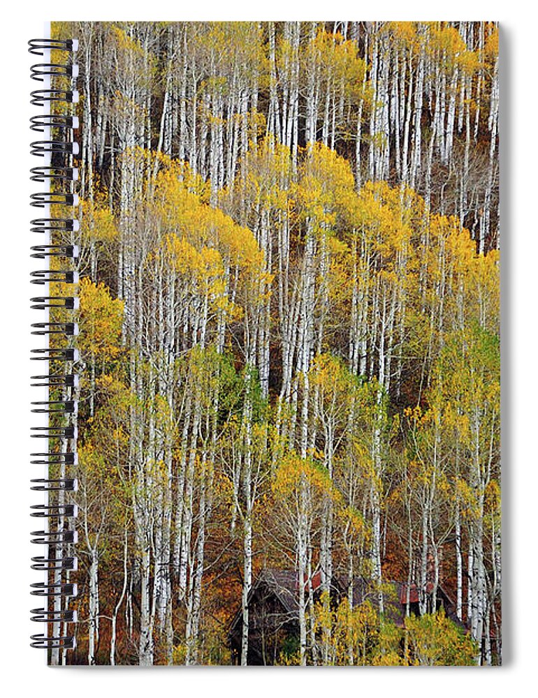 Scenics Spiral Notebook featuring the photograph Aspen Tree Pattern by Piriya Photography