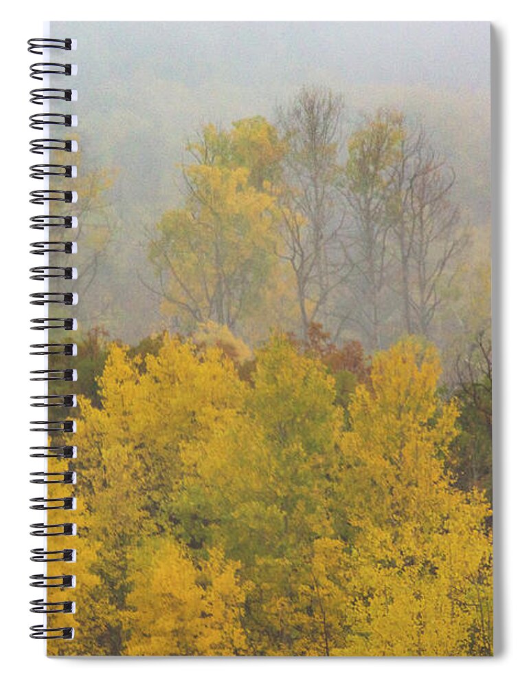 America Spiral Notebook featuring the photograph Aspen Trees In Fog by John De Bord